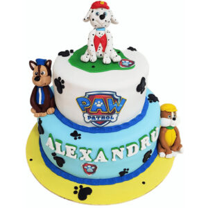 Paw patrol cake